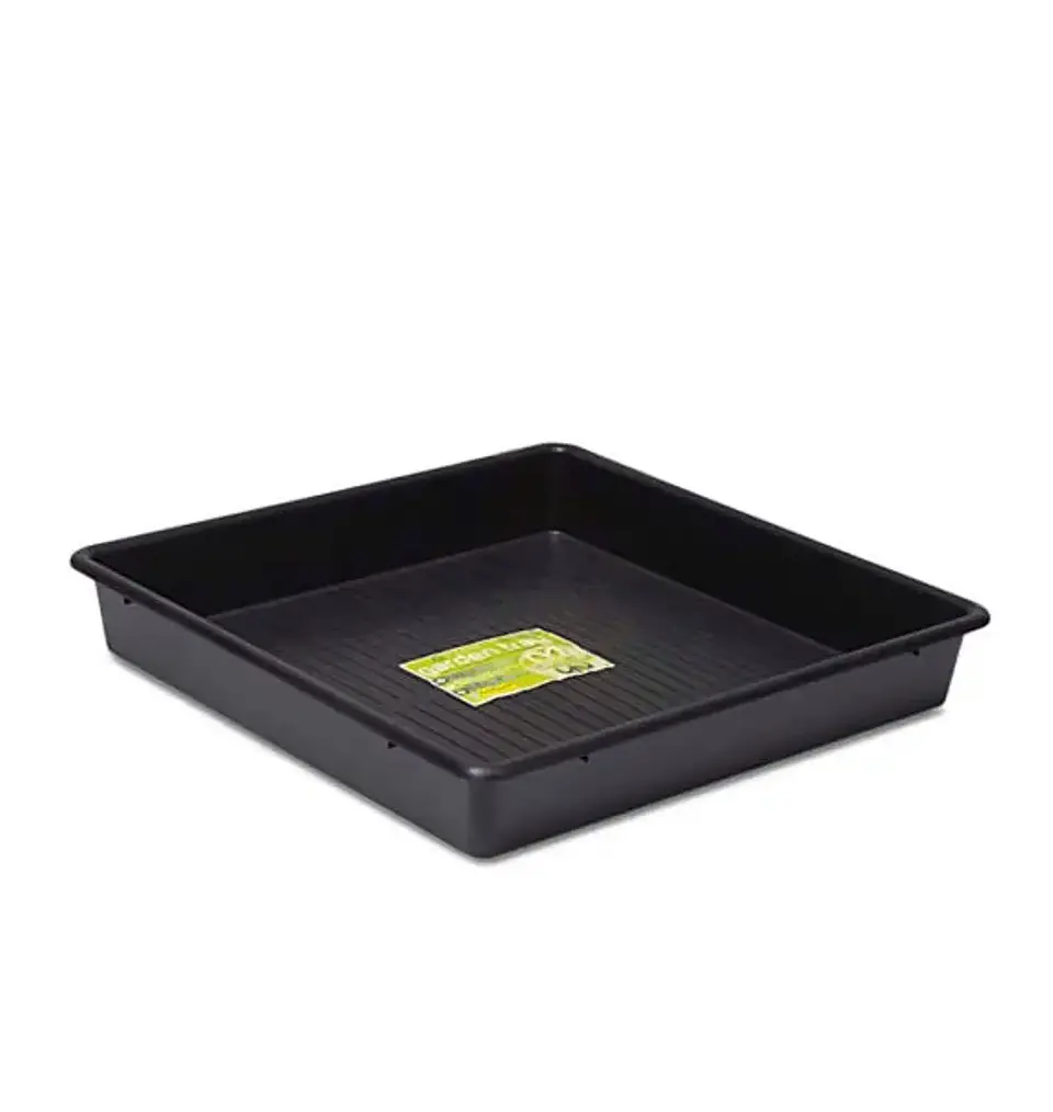 Bandeja De Cultivo  3
