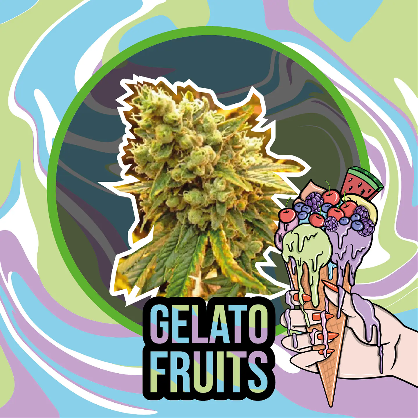 Gelato Fruits Auto (X1 / X2 / X4) -Delirium Seeds 5