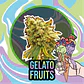 Gelato Fruits Auto (X1 / X2 / X4) -Delirium Seeds - Miniatura 5