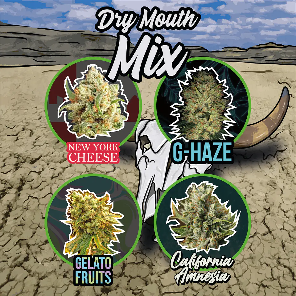Mix Dry Mouth Line Auto (X4 / X8 / X14) -Delirium Seeds 4