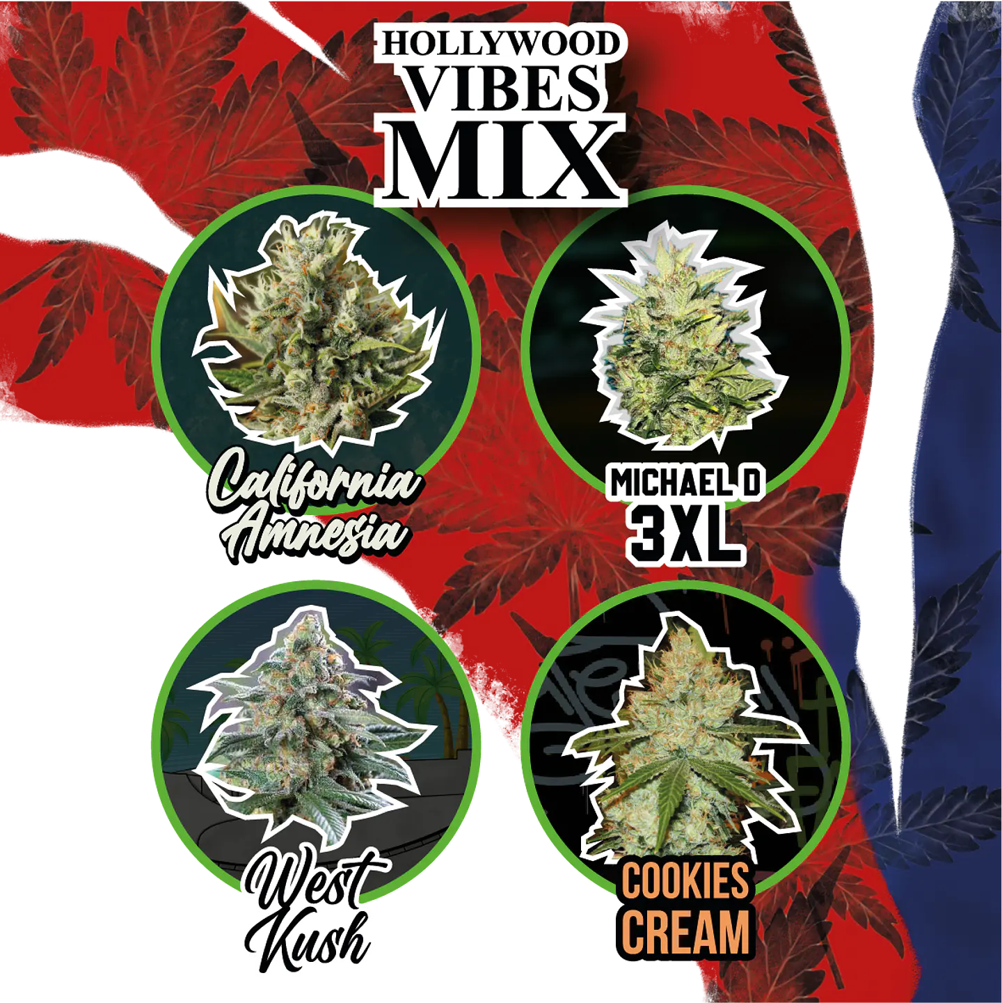 Mix Hollywood Vibe Auto (X4 / X8 / X14) -Delirium Seeds 3