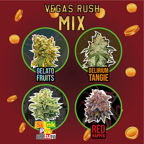 Mix Vegas Rush Fem (X4 / X8) -Delirium Seeds