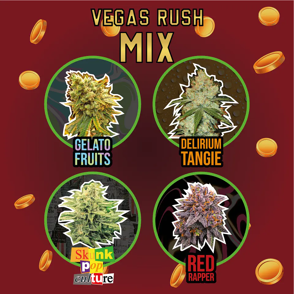 Mix Vegas Rush Fem (X4 / X8) -Delirium Seeds 2