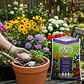 Perlita Expandida 2,5 L para Sustratos | Organic Life - Miniatura 5