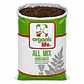 Sustrato All Mix 50 L para Trasplante | Organic Life - Miniatura 2