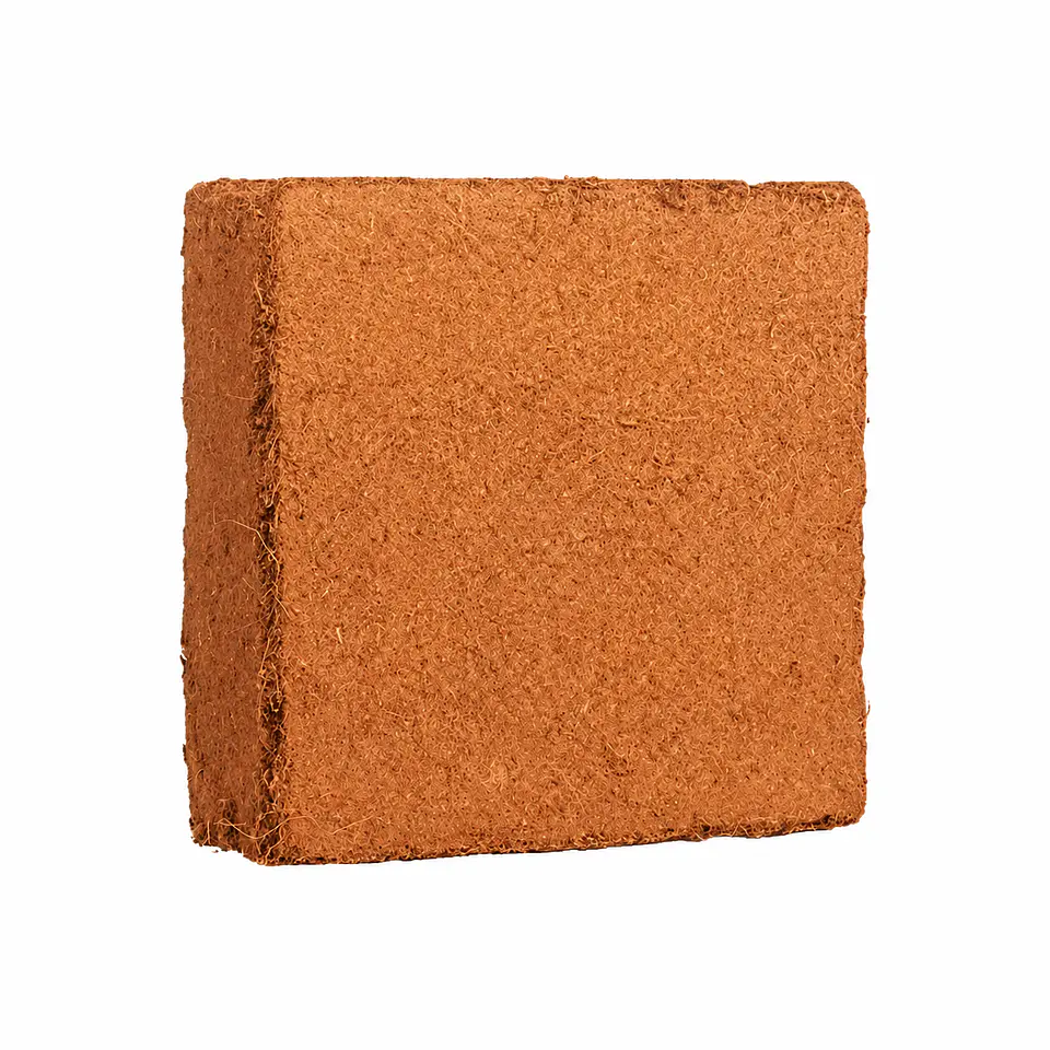Bloque de Fibra de Coco Comprimido 5 kg | Organic Life 4