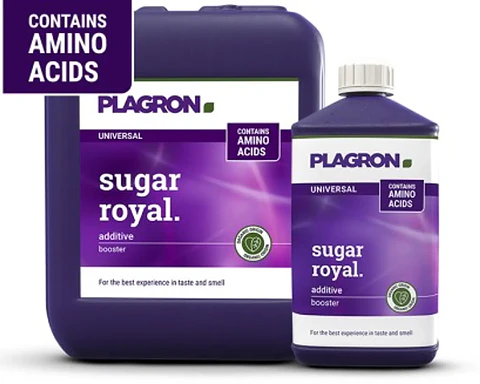 SUGAR ROYAL (100ML/500ML)- PLAGRON