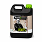 ROOTS (1LT/5LT)- MARIA GREEN - Miniatura 6