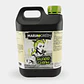 SUGAR CLEAN - MARIA GREEN - Miniatura 4