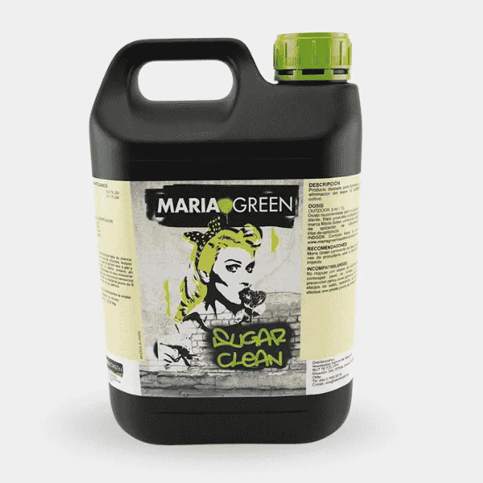 SUGAR CLEAN - MARIA GREEN 4
