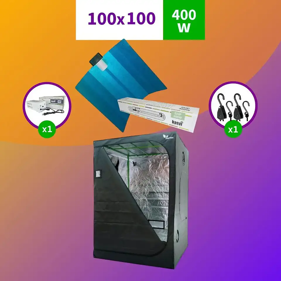 Pack Básico Iluminación Sodio (250W/400W/600W) 3