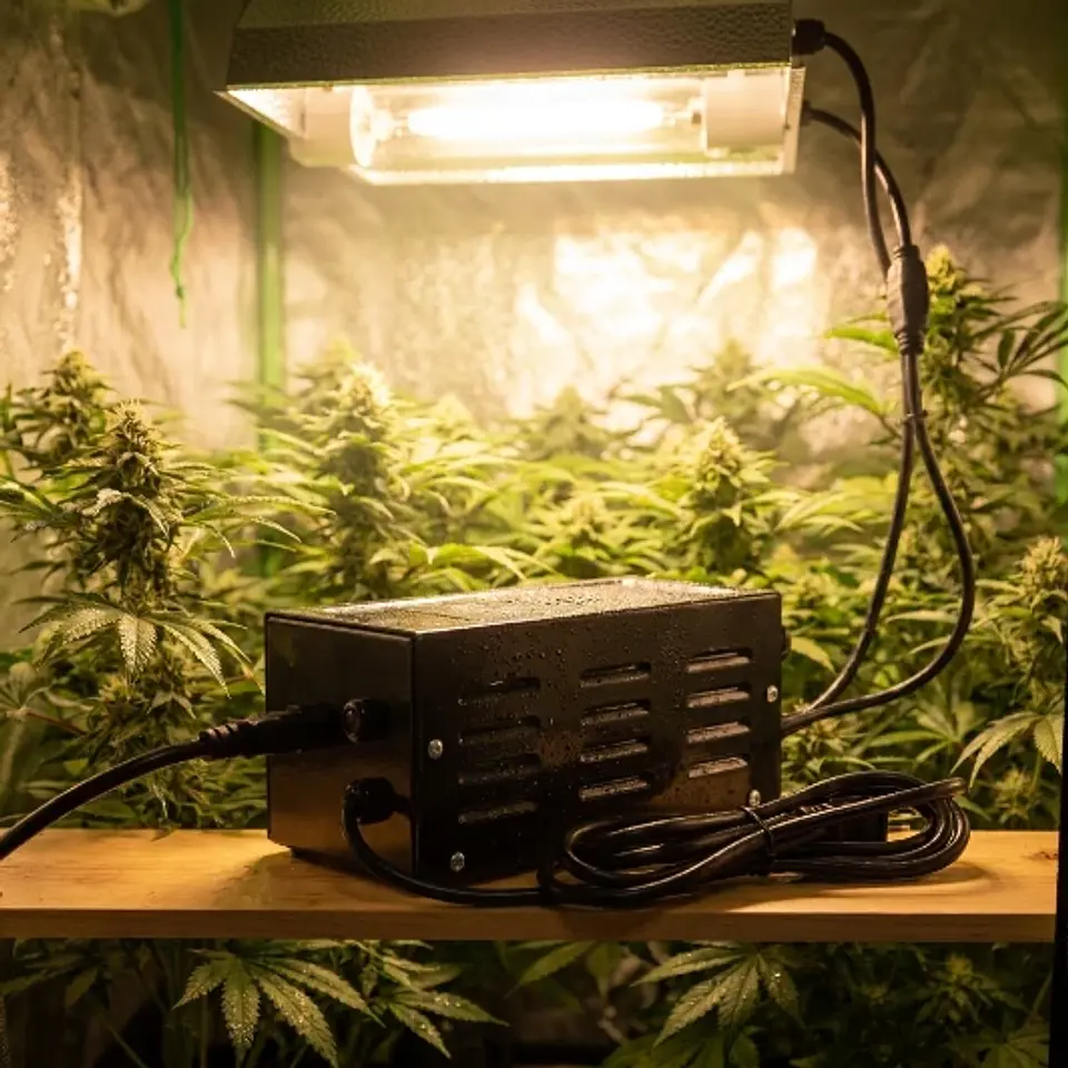 BALASTRO SOLAR RAY -GROW GENETICS (250/400/600 W) 3
