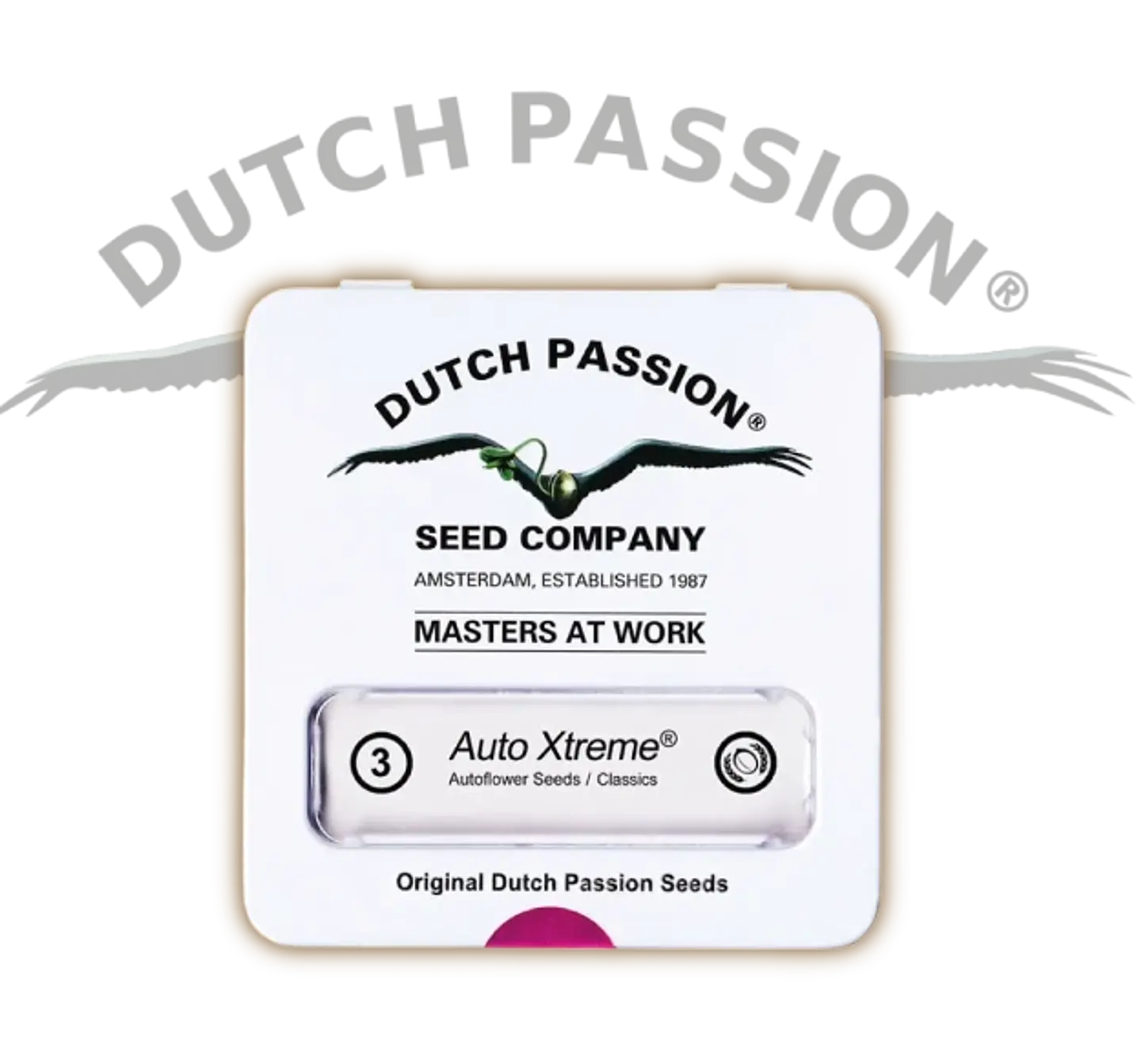 Xtreme Auto X3-Dutch Passion 5