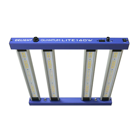 New Quantum Lite 160W - Delight