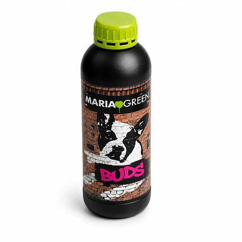BUDS (1LT/5LT)- MARIA GREEN
