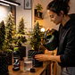 BUDS (1LT/5LT)- MARIA GREEN - Miniatura 3