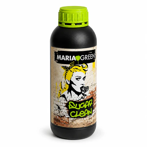 SUGAR CLEAN - MARIA GREEN
