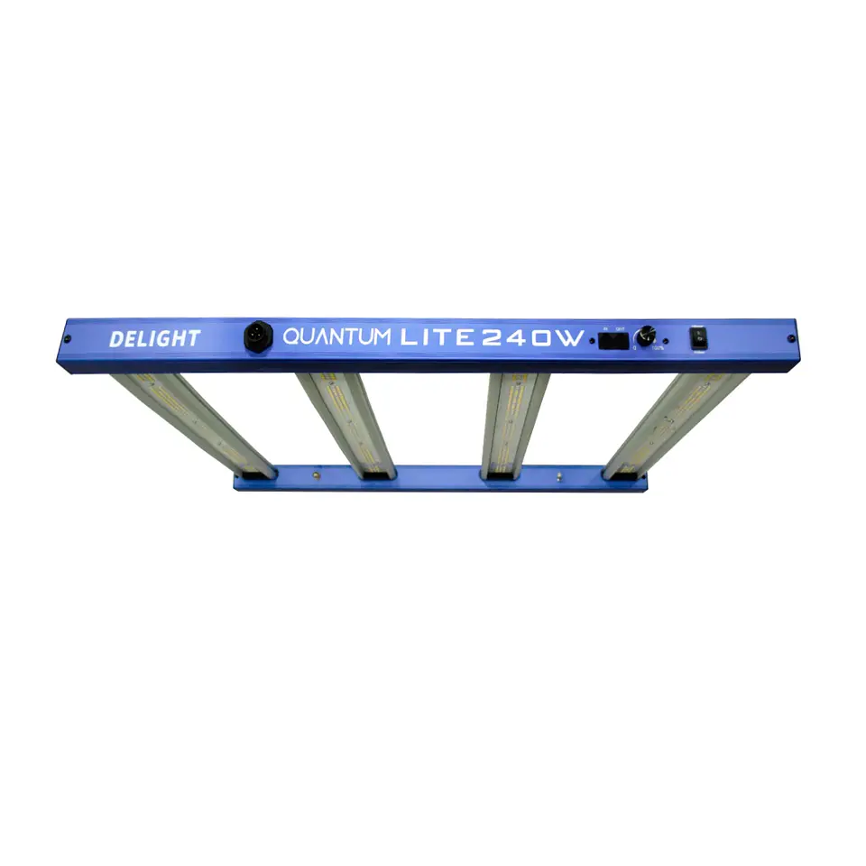 New Quantum Lite 240W - DELIGHT 1