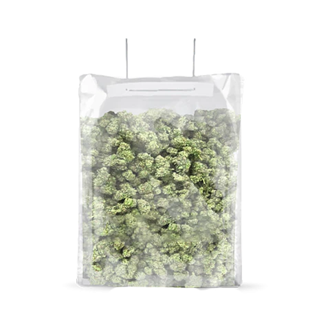 Bolsa Terpy Bag 0,5-1 Kg -Grove Bags