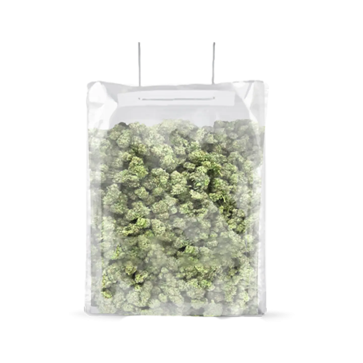 Bolsa Terpy Bag 0,5-1 Kg -Grove Bags 1