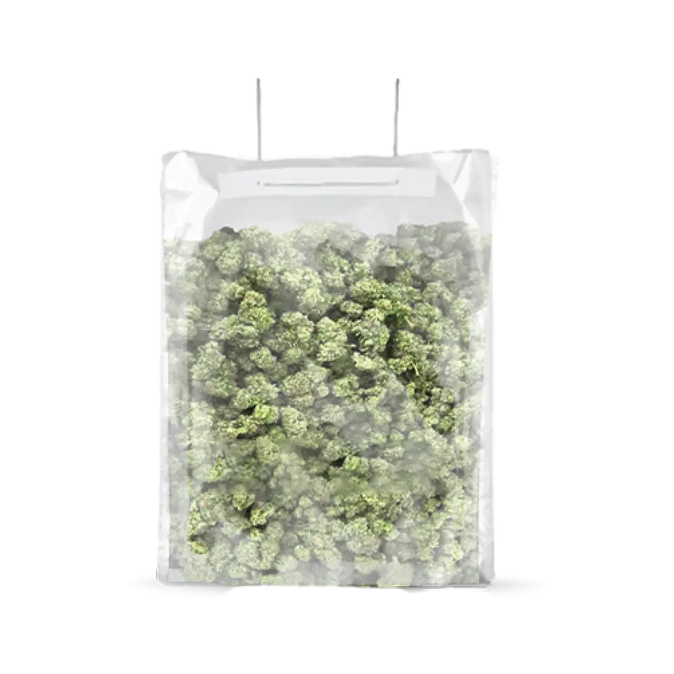 Bolsa Terpy Bag 0,5-1 Kg -Grove Bags 1