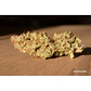 Banana Blaze Auto -Dutch Passion (X100/X25/X7/X3+1) - Miniatura 5