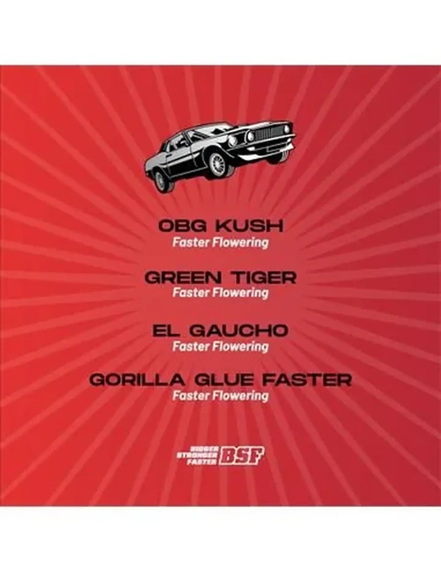 Faster And Furious Faster Mix Fem -Bsf (X12/X8/X4) 3