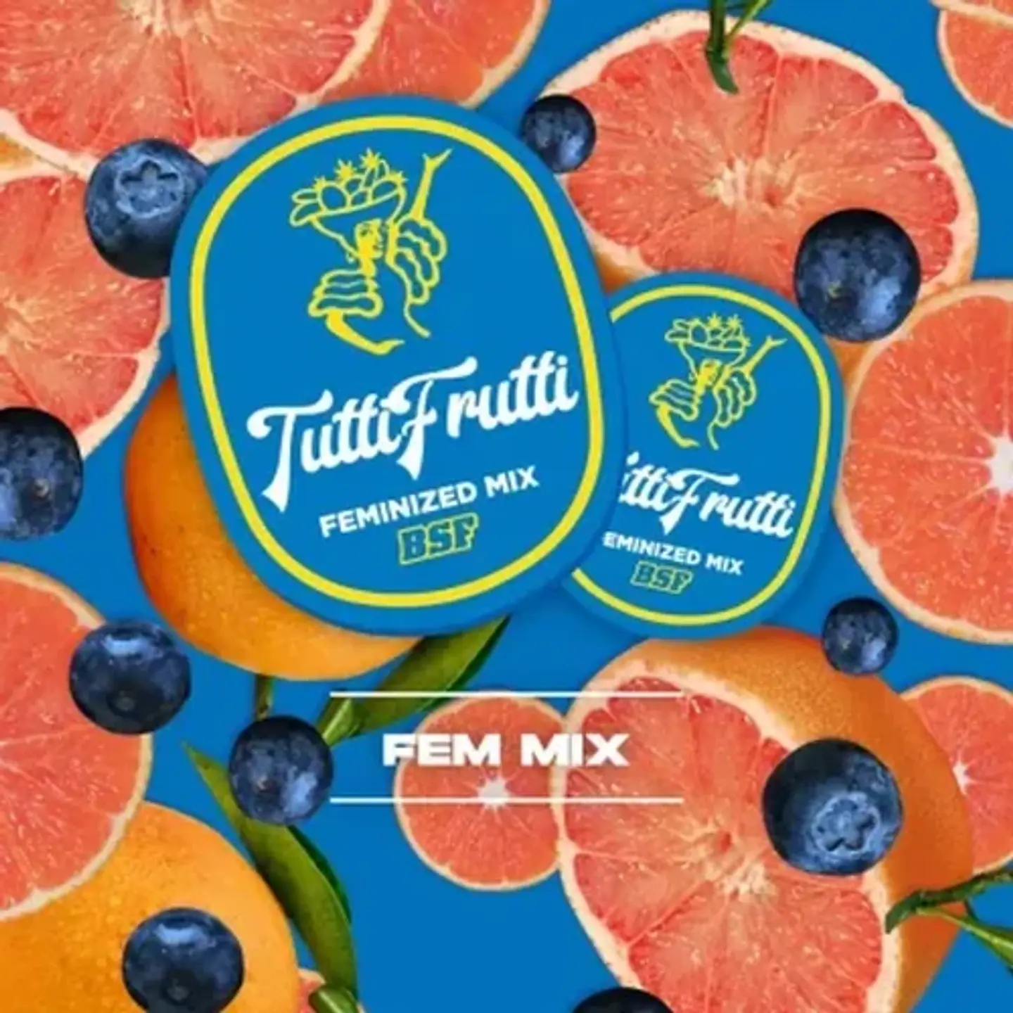 Tutti Frutti Mix Fem -Bsf (X12/X8/X4) 1