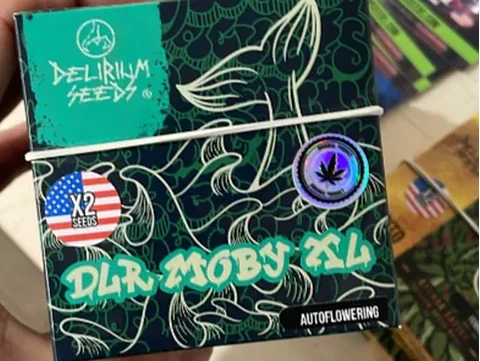 Delirium Moby Xl Auto X2 - Delirium Seeds