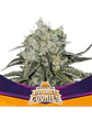 Double Cookies Fem -Bsf (X12/X7/X2/X4) - Miniatura 7