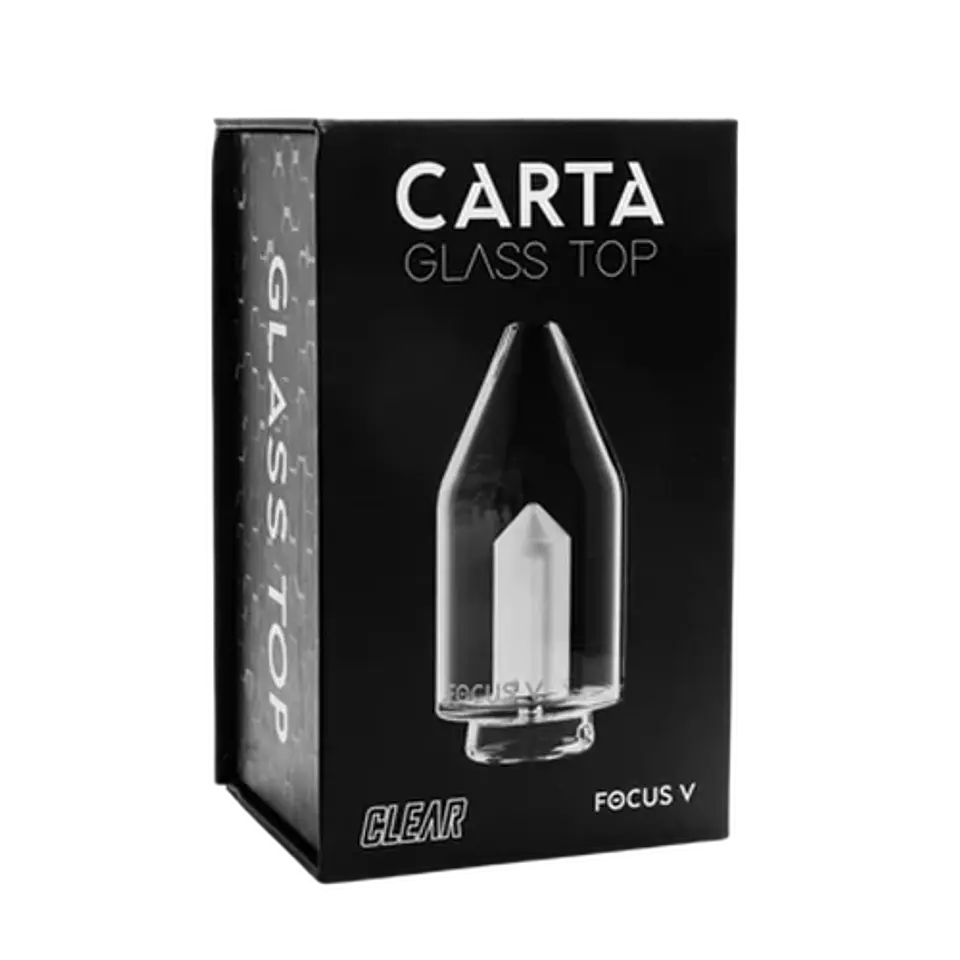 VIDRIO DE REPUESTO CARTA 2/SPORT-FOCUS V (Color a elección) 2
