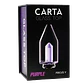 VIDRIO DE REPUESTO CARTA 2/SPORT-FOCUS V (Color a elección) - Miniatura 6