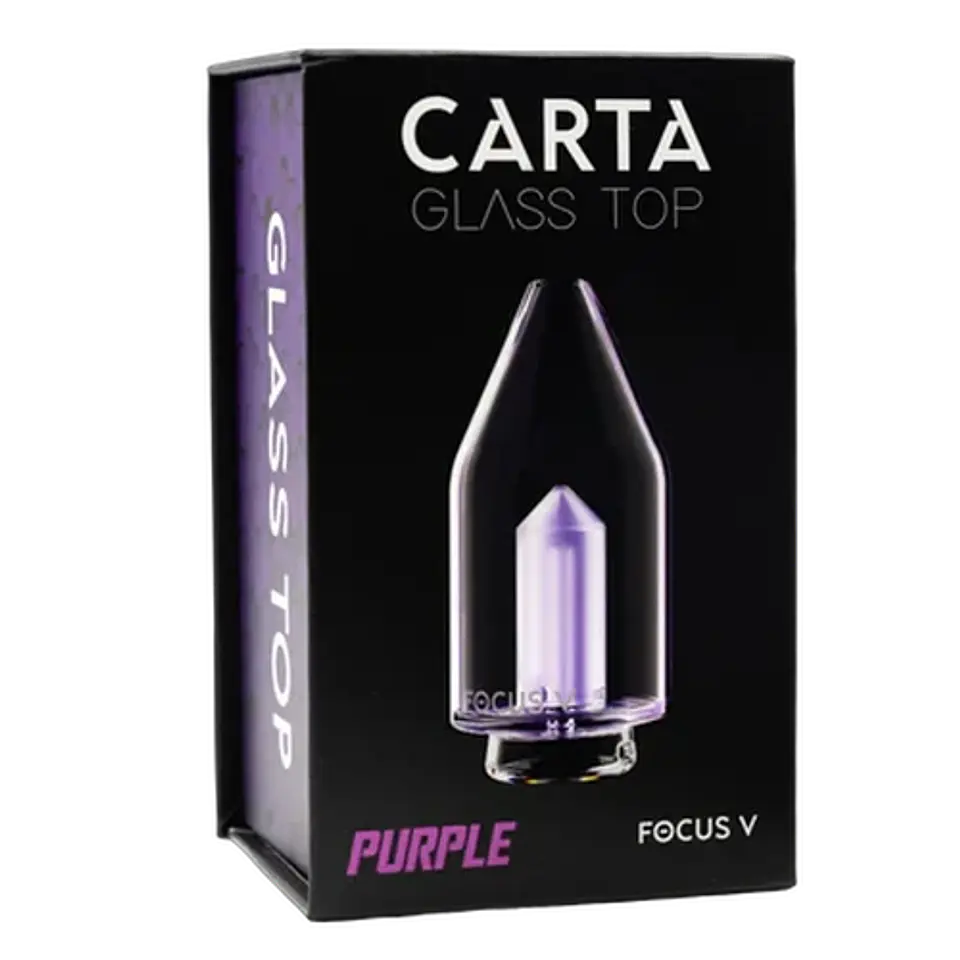 VIDRIO DE REPUESTO CARTA 2/SPORT-FOCUS V (Color a elección) 6