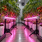 Barras LED Bajo Canopy Spectra X4 120W | Delight - Miniatura 2