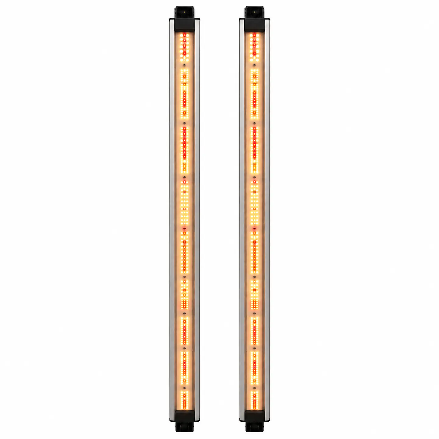 Barras de Recambio Spectra Resin Boost 6000K 430/480nm | Delight 1