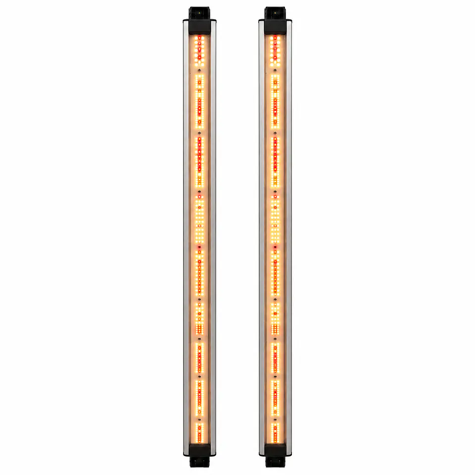 Barras de Recambio Spectra Resin Boost 6000K 430/480nm | Delight 1