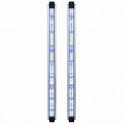 Barras de Recambio Spectra Vega Boost 5000K 420/500nm | Delight