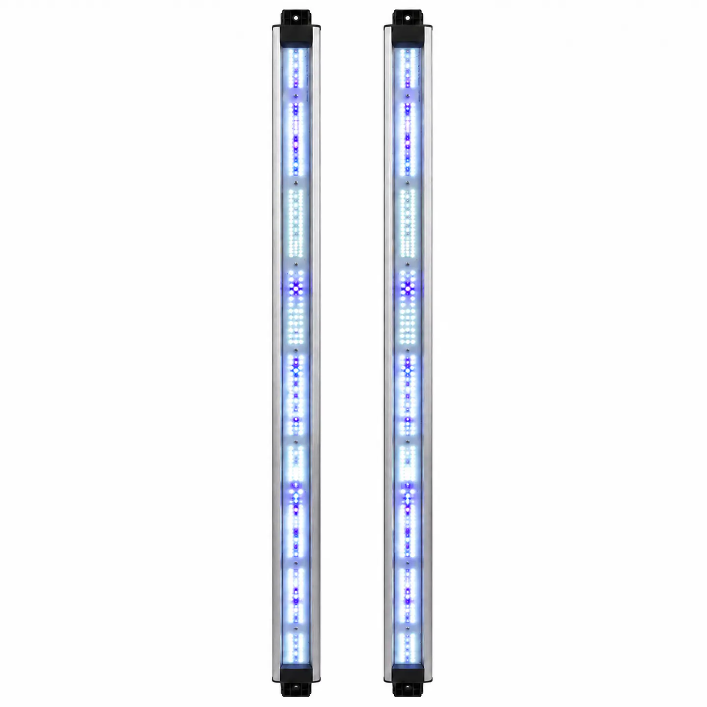 Barras de Recambio Spectra Vega Boost 5000K 420/500nm | Delight 1