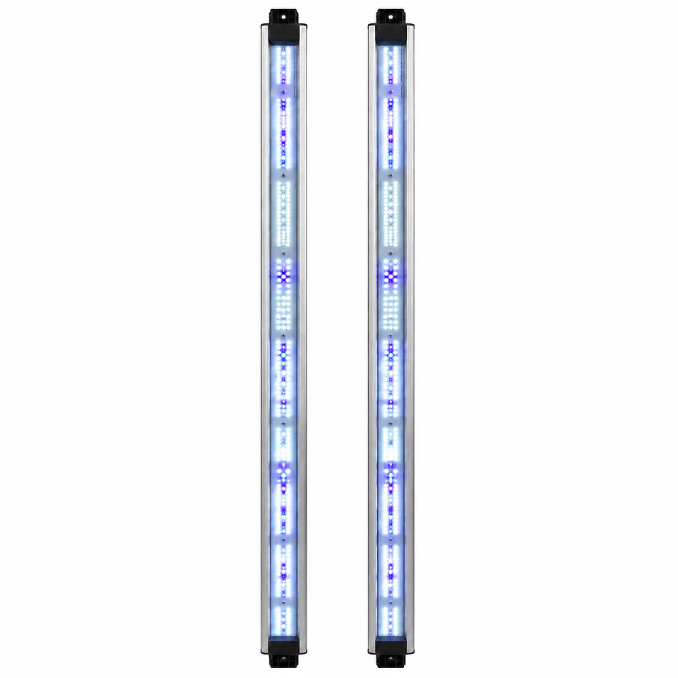 Barras de Recambio Spectra Vega Boost 5000K 420/500nm | Delight 1
