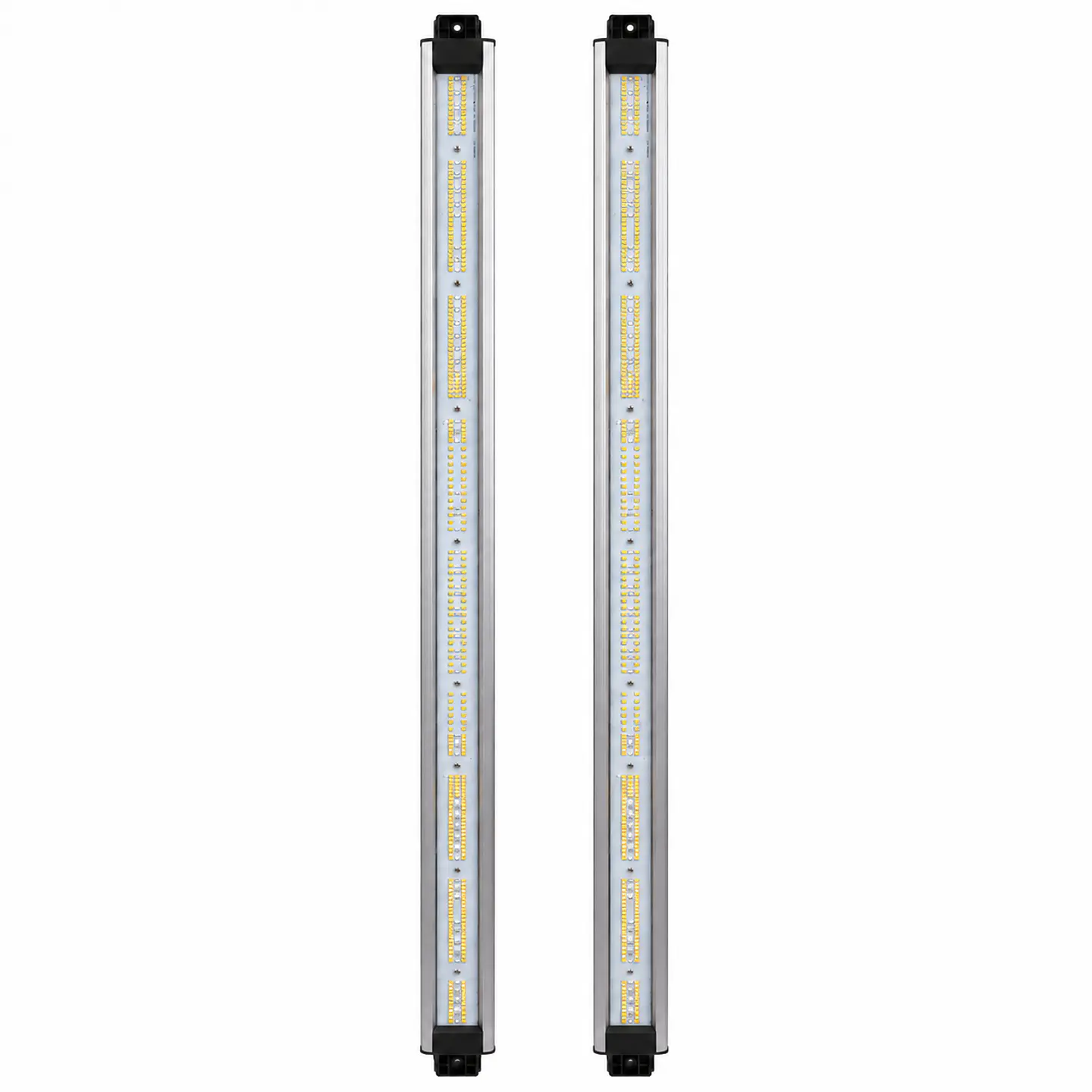 Barras de Recambio Spectra Vega Boost 5000K 420/500nm | Delight 4