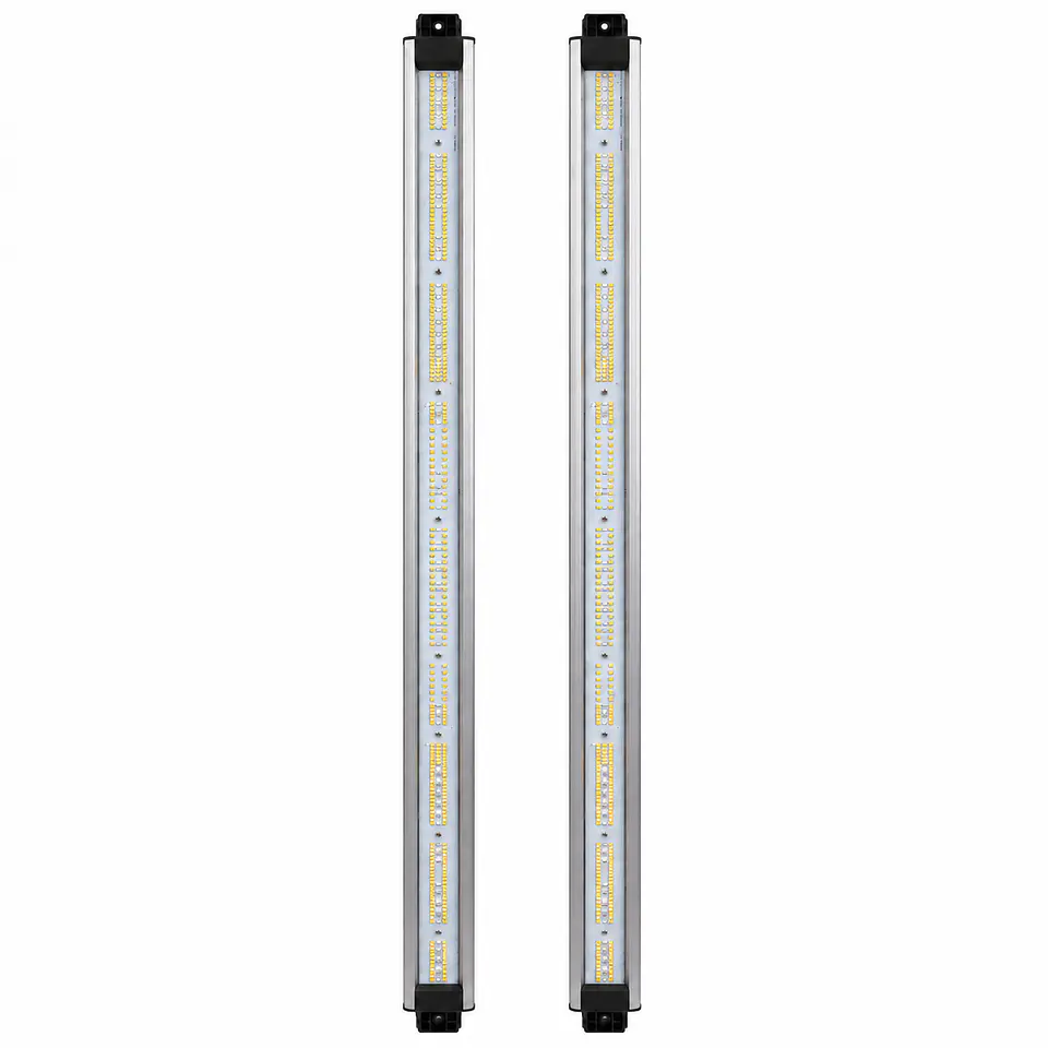 Barras de Recambio Spectra Vega Boost 5000K 420/500nm | Delight 4