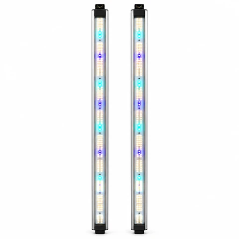 Barras de Recambio Spectra Resin Boost 6000K 430/480nm | Delight