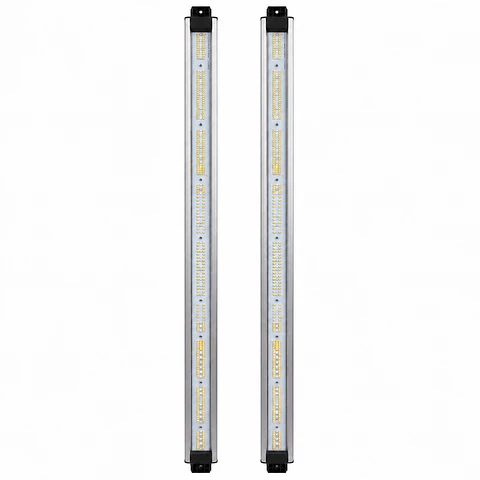 Barras de Recambio Spectra Resin Boost 6000K 430/480nm | Delight