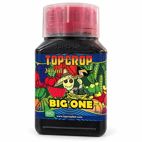 BIG ONE 250ML-TOP CROP