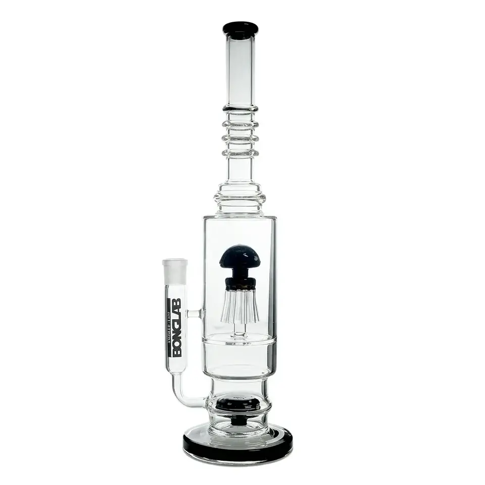 JELLY FISH black-BONGLAB 1