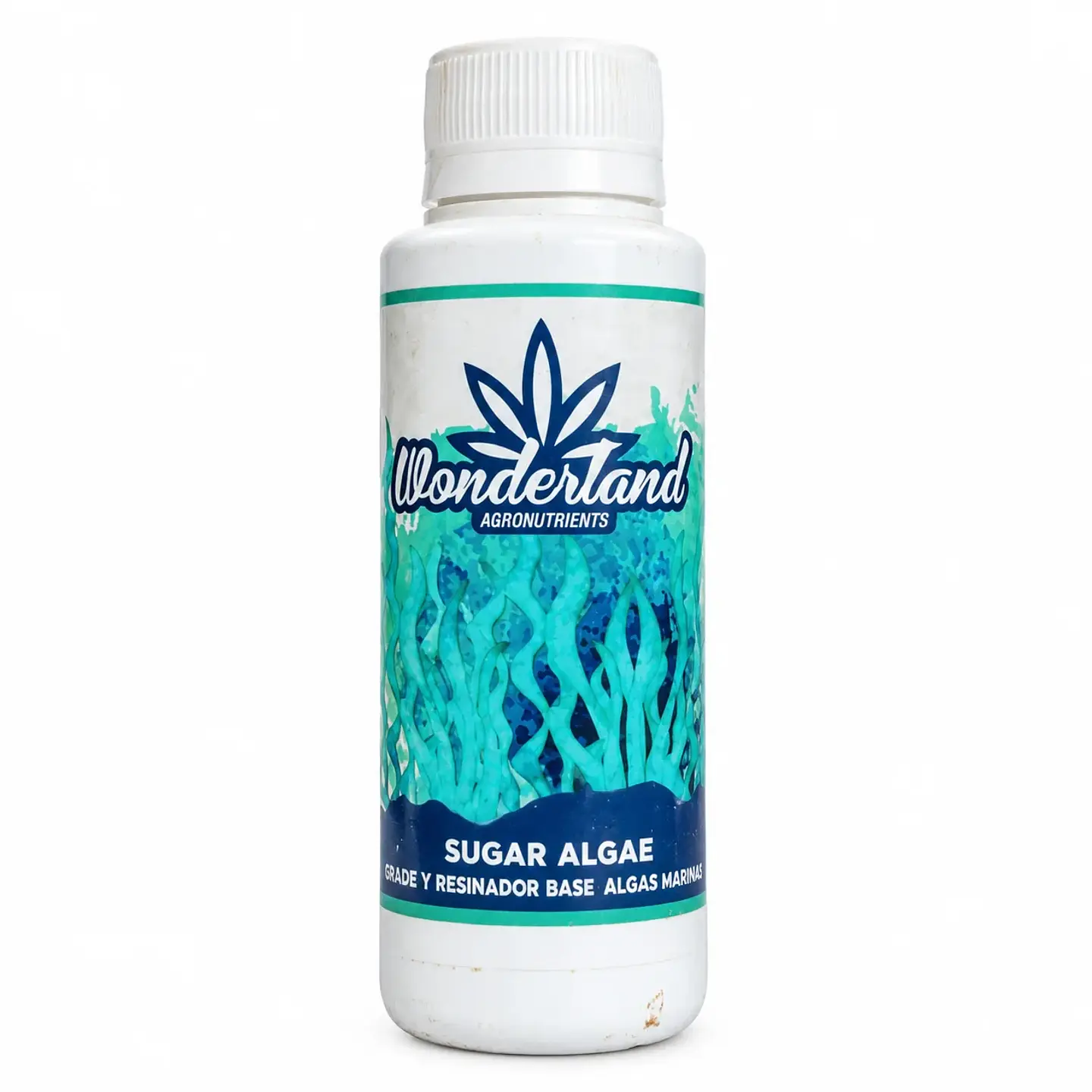 SUGAR ALGAE 120ML-WONDERLAND 1