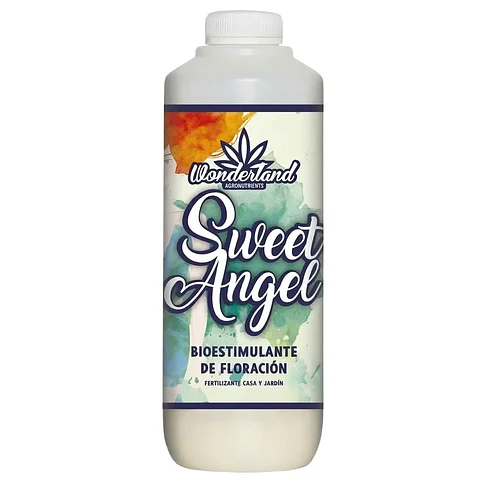 Sweet angel 1lt wonderland