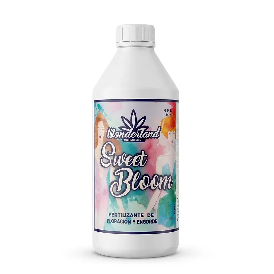 SWEETBLOOM 1LT-WONDERLAND 1