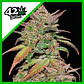 Smoothie Auto -Fast Buds (X3/X1) - Miniatura 3