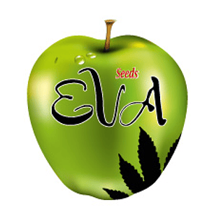 EVA SEEDS